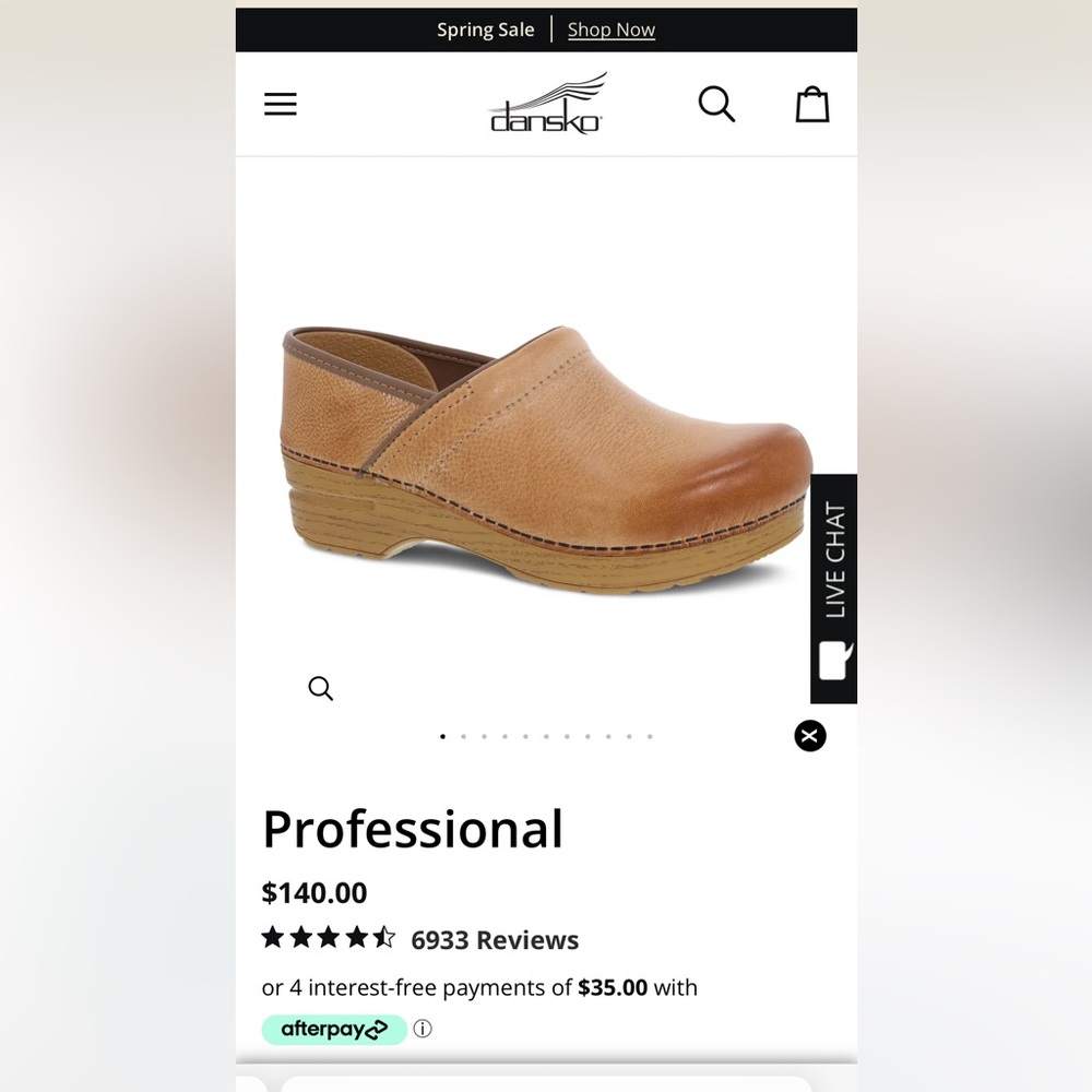 Dansko Professional Clog